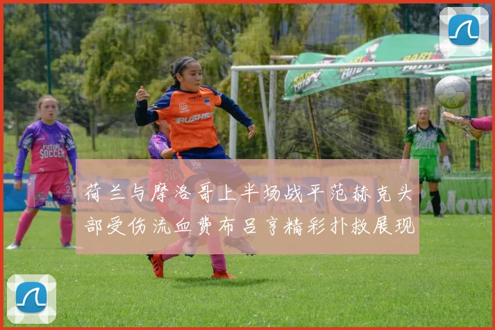 荷兰与摩洛哥上半场战平范赫克头部受伤流血费布吕亨精彩扑救展现实力