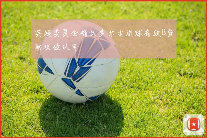 英超委员会确认多尔古进球有效B费助攻被认可